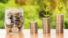 foreign currency global wealth
